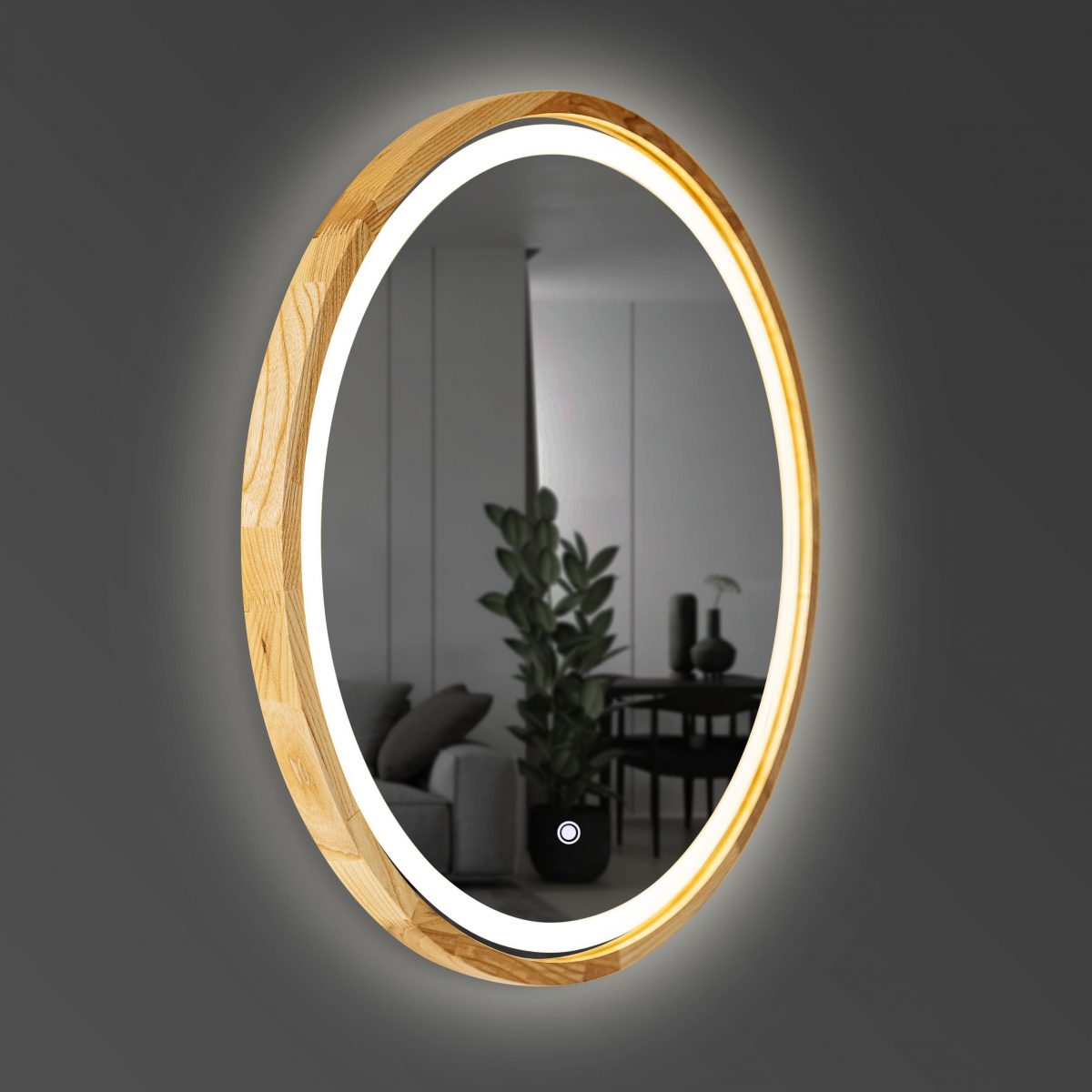 LED Round mirror Perfection - Image 4